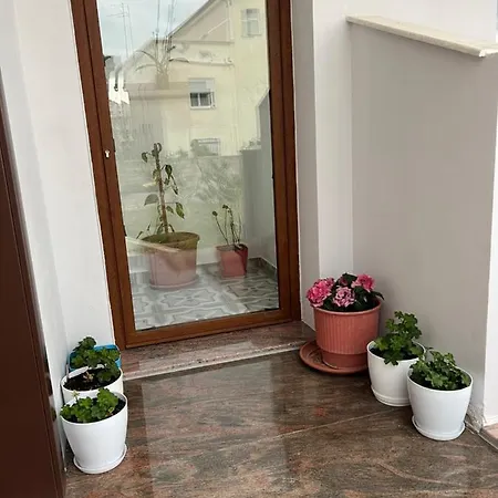 Bed and breakfast Rreze Dielli *