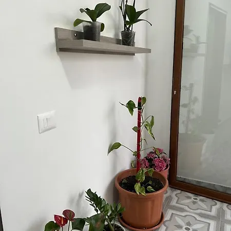 Rreze Dielli 3* Vlorë