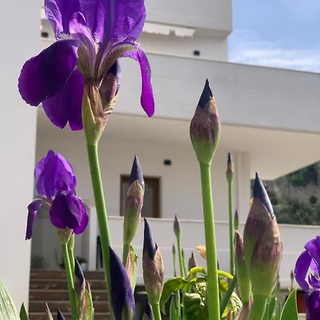 Bed and breakfast Rreze Dielli